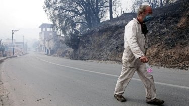 Фото 3 — Пожары в Алжире: в огне погибли 42 человека (ФОТО, ВИДЕО)