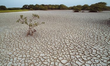 Фото 2 — В Австралии разработали дешевый и эффективный способ опреснения воды