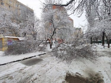 Фото 4 — На юг Украины обрушился снегопад, в Одессу закрыли въезд фурам (ФОТО, ВИДЕО)