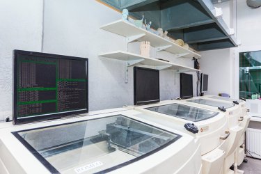 Фото 3 — Первые украинские 3D-принтеры поедут в Польшу и США — сооснователь Kwambio