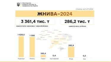 Фото 2 — В Минагрополитики рассказали, где в Украине собрали больше всего зерна