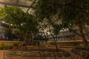 Фото 2 — В Києві на ВДНГ відкривають оранжерею