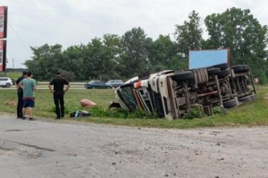 Фото 12 — В Хмельницкой области перевернулся грузовик со свиньями: погибли десятки животных (ФОТО)