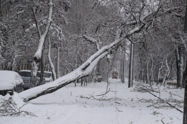Фото 37 — На юге Украины из-за снега закрыли дороги, фуры не пускают даже в Киев (ФОТО, ВИДЕО)