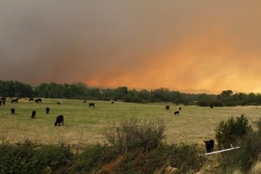 Фото 23 — В США бушует крупный лесной пожар, население городов эвакуируется