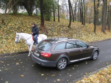 Фото 9 — Для тех, кому за 40 - тест-драйв Audi Allroad Quattro 2,7 TDI