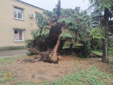 Фото 2 — Снес крыши, деревья и водонапорную башню: по Донецкой и Луганской областям прошел ураган