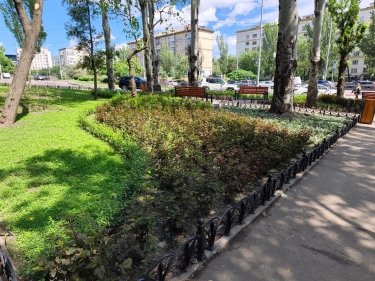 Фото 3 — У Києві замість МАФів облаштували нові мінісквери: де вони з'явилися