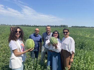 Робота команди з обслуговування корпоративних клієнтів "на полях" у агроклієнтів