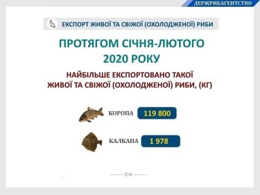Фото 2 — Украина за два месяца отправила на экспорт 127 тонн рыбы