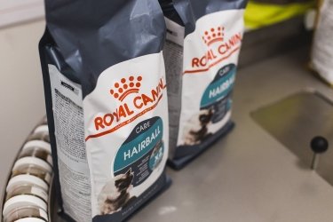 Фото 3 — Королевский крокет: как производят корм для домашних животных