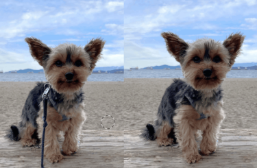 Фото 2 — Windows получил "магический" элемент на основе ИИ для редактирования фотографий