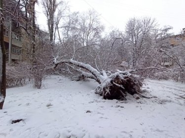 Фото 55 — На юге Украины из-за снега закрыли дороги, фуры не пускают даже в Киев (ФОТО, ВИДЕО)