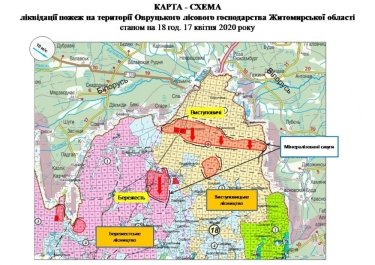 Фото 3 — В Житомирской области горел лес (ФОТО, ВИДЕО)