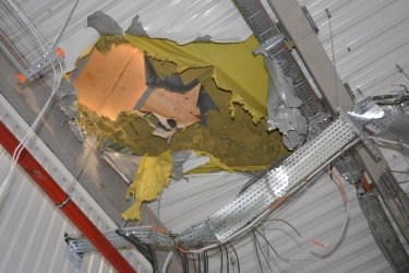 Фото 2 — "Можно иметь современное оборудование, тракторы, но если некому работать, то это проблема для бизнеса", - Владимир Онищенко, директор по производству семян "Байер" в Украине