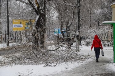 Фото 69 — На юге Украины из-за снега закрыли дороги, фуры не пускают даже в Киев (ФОТО, ВИДЕО)