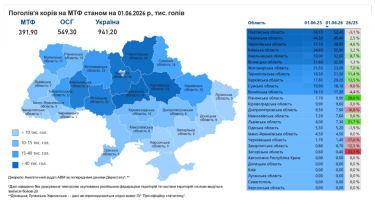 Фото 3 — Более половины коров в Украине содержатся в семи областях: где именно