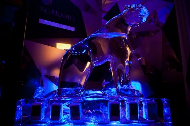 Фото 11 — Ольга Громова объяснила, зачем сожгла на глазах у публики сделанную с помощью лазера коллекцию (ФОТО)