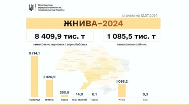Фото 2 — Урожай-2024: в каких областях намолотили больше всего зерна