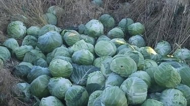 Фото 3 — Без пенсій, із попсованим урожаєм, але в очікуванні ЗСУ: як виживають українці на Херсонщині