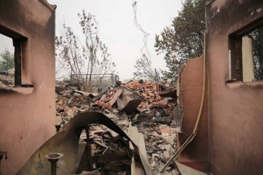 Фото 4 — Пожары в Луганской области: количество погибших возросло до девяти человек (ФОТО, ВИДЕО)