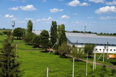 Фото 3 — На Миколаївщині птахофабрику з виробництвом кормів і переробкою птиці виставили на продаж за $3,5 млн