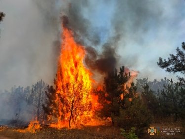 Фото 33 — Николаев снова под обстрелами: разрушен травмпункт, сгорел склад с лекарствами, есть раненые (ФОТО)