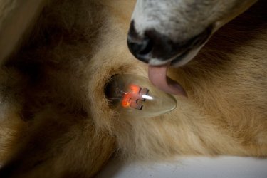 Фото 4 — За что коллекционеры и коллеги любят арт-провокатора Илью Чичкана (ВИДЕО)