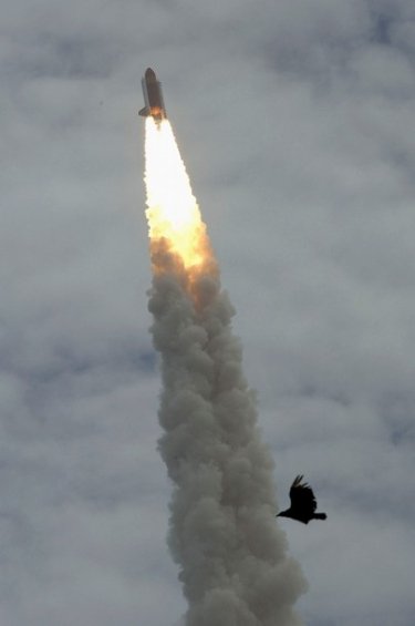 Фото 32 — США уходят из "большого космоса" - «Атлантис» начал последний в 30-летней истории шаттлов полет
