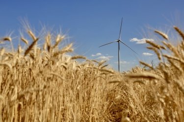 Фото 2 — Історія Тилігульської ВЕС: як побудувати потужний вітропарк, залучити €500 млн та отримати премію в США