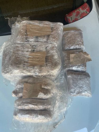 Фото 3 — Выращивали коноплю методом гидропоники: в Украине разоблачили производство наркотиков на индустриальном уровне (ВИДЕО)