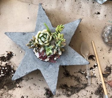 Фото 5 — Как зарабатывать на оформлении растений: опыт украинского бренда Roslynka