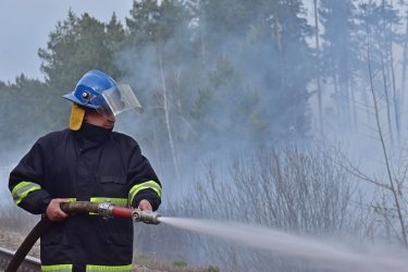 Фото 2 — Лесные пожары под Чернобылем и на Житомирщине еще не потушили (ФОТО, ВИДЕО)