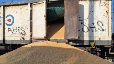 Фото 3 — На железнодорожной станции в Польше неизвестные высыпали 160 тонн украинского зерна
