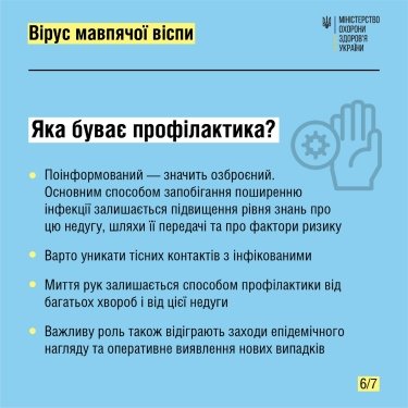 Фото 7 — В МОЗ собрали всю информацию о вирусе обезьяньей оспы: диагностирование, симптомы и профилактика (ИНФОГРАФИКА)