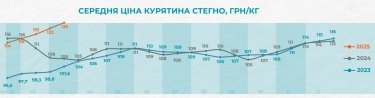 Фото 2 — Тушка, стегно, філе: які ціни на курятину у березні