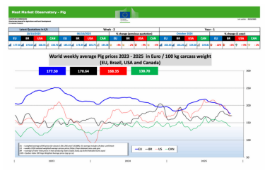 Фото 3 — Закупівельні ціни на свиней живою вагою на 3-9 листопада 2025