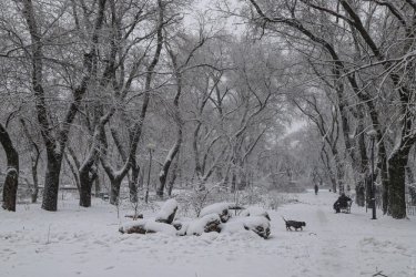 Фото 45 — На юге Украины из-за снега закрыли дороги, фуры не пускают даже в Киев (ФОТО, ВИДЕО)