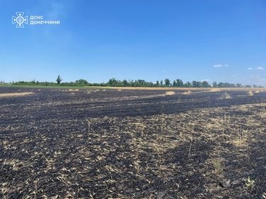 Фото 6 — Россия уничтожает урожай украинских фермеров, нанося удары FPV-дронами по полям