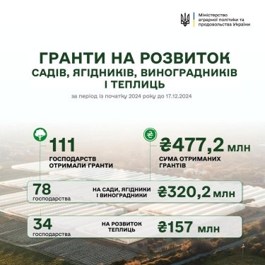 Фото 2 — Розвиток садівництва та тепличного господарства: аграрії отримали 477,2 млн грн за рік