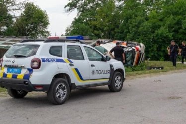 Фото 5 — В Хмельницкой области перевернулся грузовик со свиньями: погибли десятки животных (ФОТО)