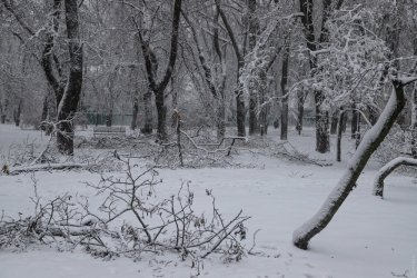 Фото 42 — На юге Украины из-за снега закрыли дороги, фуры не пускают даже в Киев (ФОТО, ВИДЕО)