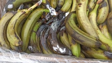 Фото 2 — Міноборони перевірило продуктові та медичні склади військових частин: що знайшли (ФОТО)