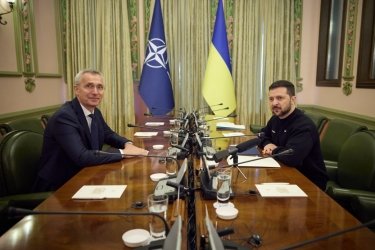 зеленый, нато, столтенберг