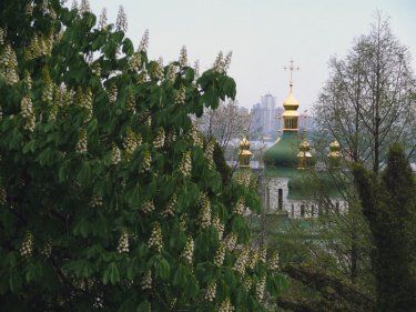 Фото 13 — Мой Киев: кто посадил в городе первые каштаны
