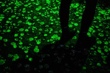 Фото 5 — В PinchukArtCentrе художники прогнозируют будущее с помощью высоких технологий (фото)