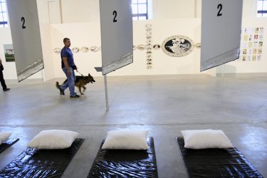 Фото 3 — 100 «Независимых» показали в Арсенале, что натворили за 20 лет