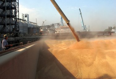 Фото 2 — Зерна и плевела: Украина может продавать зерна больше, были бы дороги, вагоны и элеваторы