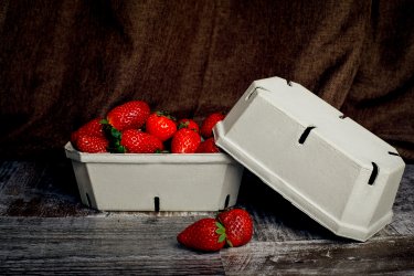 Фото 6 — Циркулем измеряли расстояние от завода до позиций врага: история "Sem Ecopack" с начала большой войны в Украине