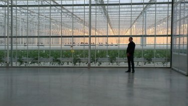 Фото 2 — Фирташ потратил на теплицы в родном селе 30 миллионов евро (ВИДЕО)